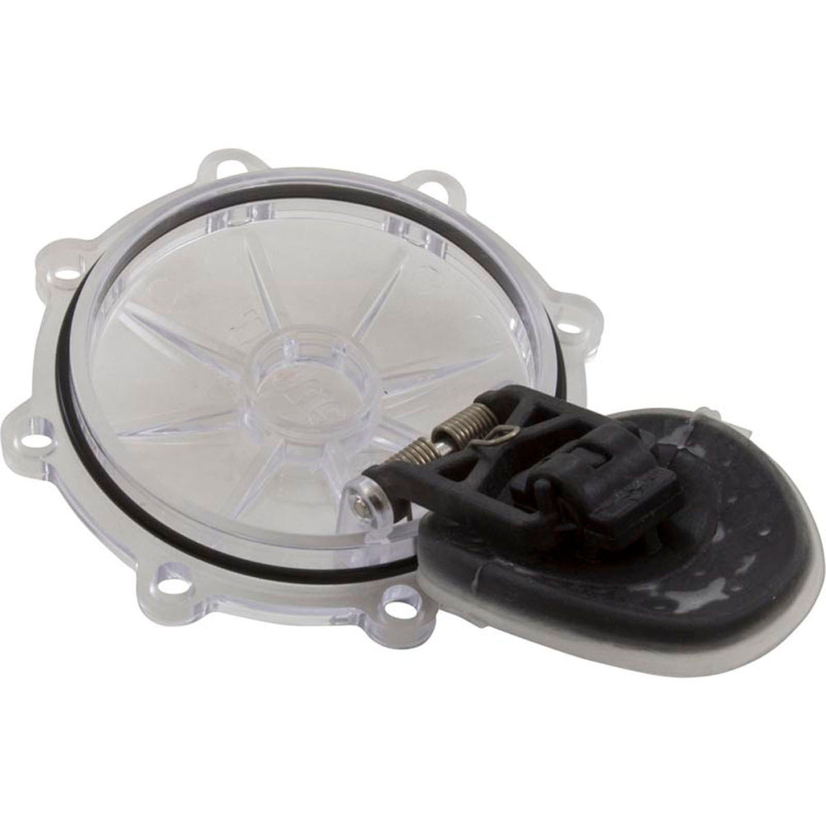 Rebuild Kit, Check Valve, Pentair CPVC 2"