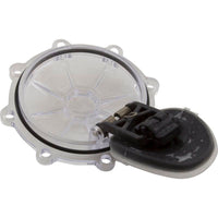 Rebuild Kit, Check Valve, Pentair CPVC 2"