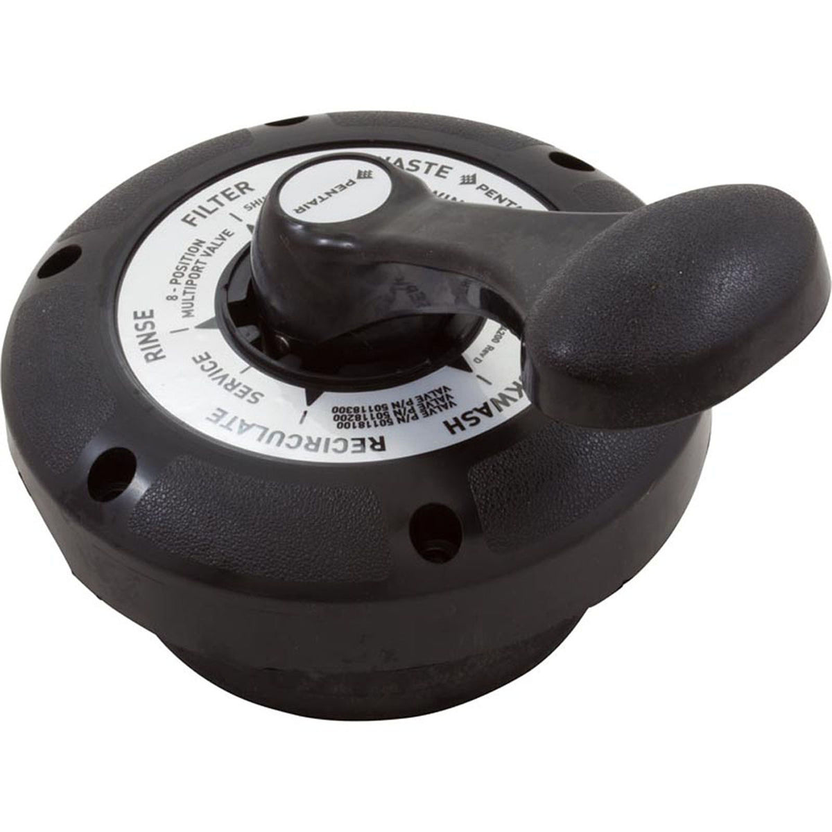 Lid Assembly, Pentair, 1-1/2" Top Mount Valve