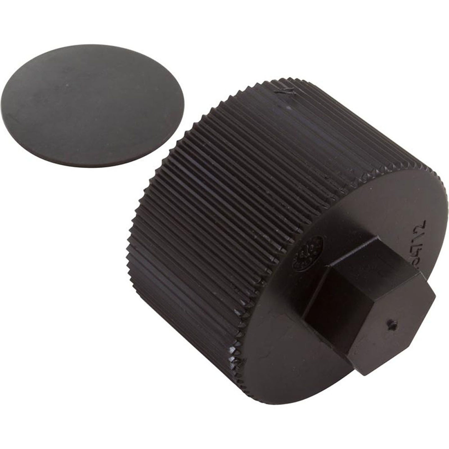 Drain Cap Assembly, Pentair Sta-Rite CristalFlo II, w/Gasket