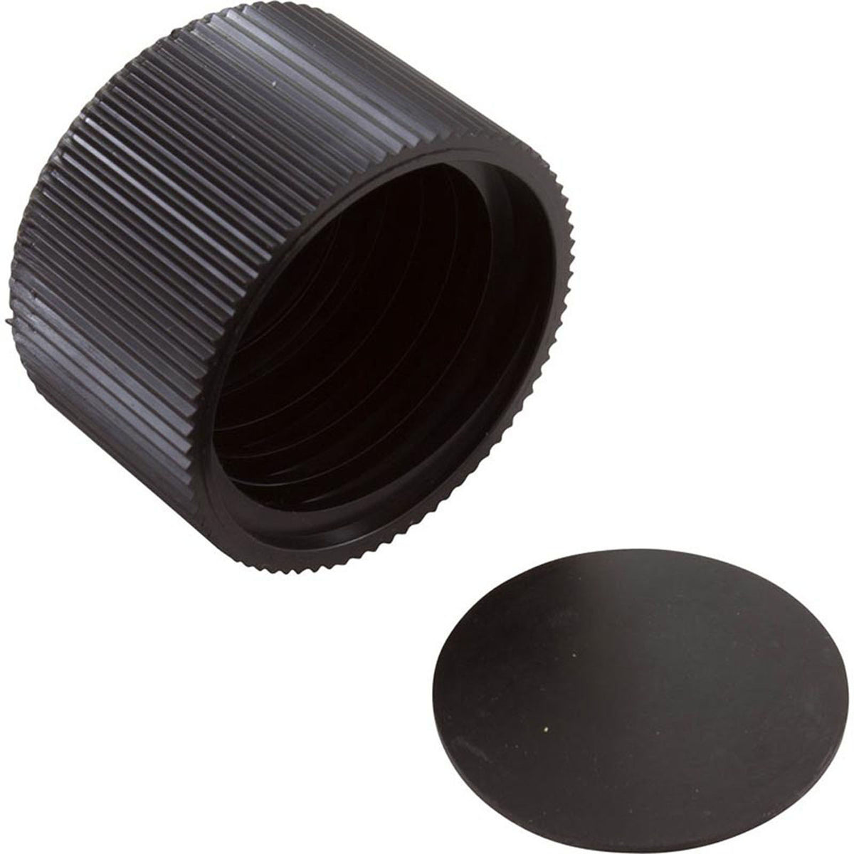 Drain Cap Assembly, Pentair Sta-Rite CristalFlo II, w/Gasket