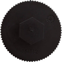 Drain Cap Assembly, Pentair Sta-Rite CristalFlo II, w/Gasket