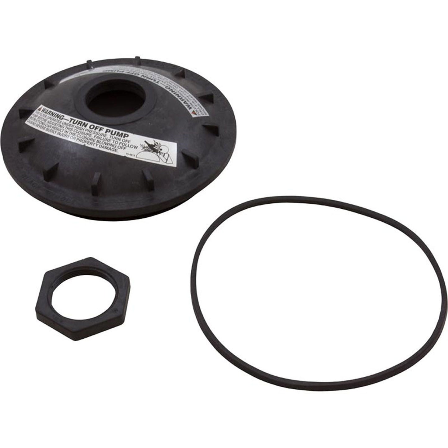 Tank Lid Kit, Pentair Triton TR100C/TR140C, 8-1/2", Black, Buttress Thread