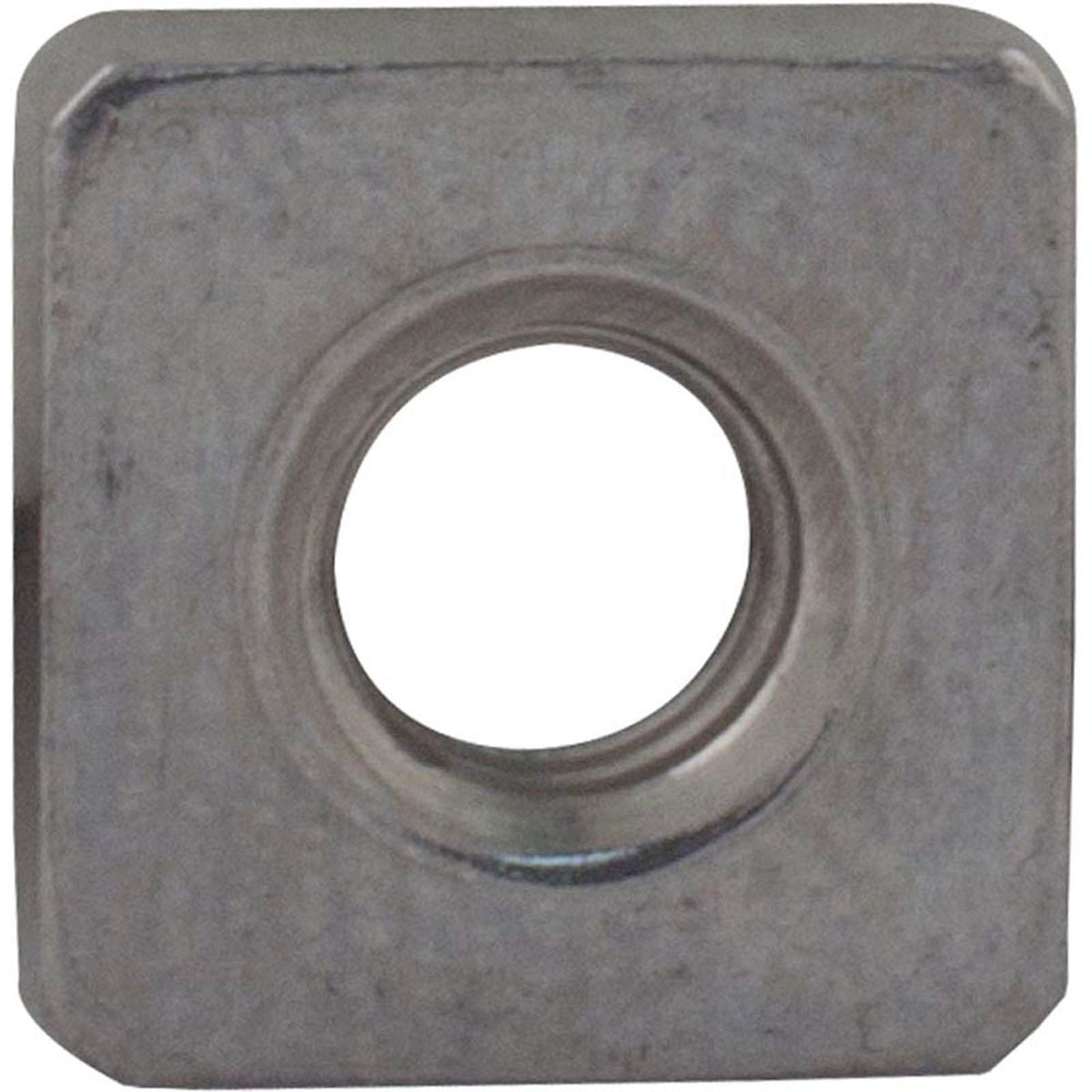 Nut, Pentair PacFab Dynamo, Seal Plate