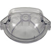 Trap Lid, Pentair PacFab Dynamo