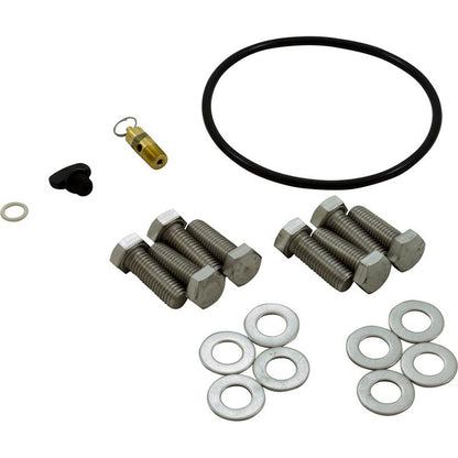 Complete Hair and Lint Strainer, Pentair EQ Series, 6" x 6"