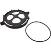 Clamp, Pentair EQ Series, Hair & Lint Strainer, w/Gasket