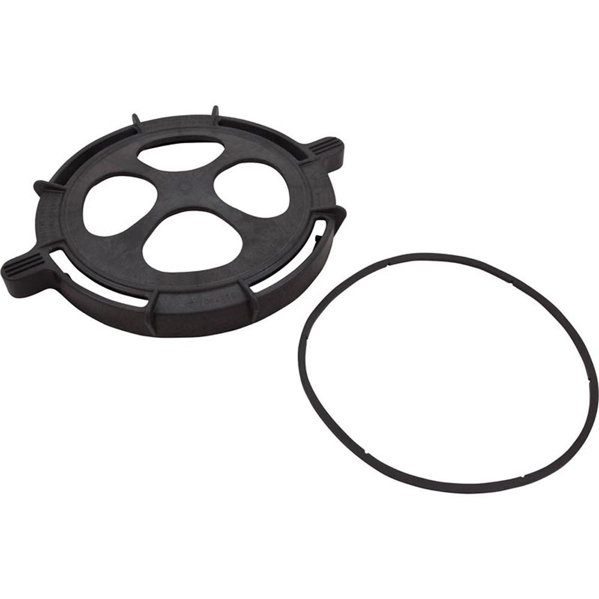 Clamp, Pentair EQ Series, Hair & Lint Strainer, w/Gasket