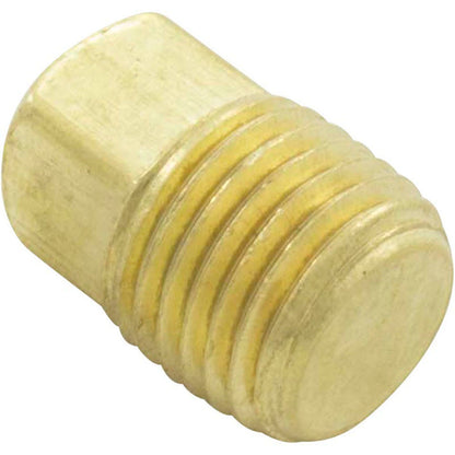 Drain Plug, Pentair C-Series, 1/4"