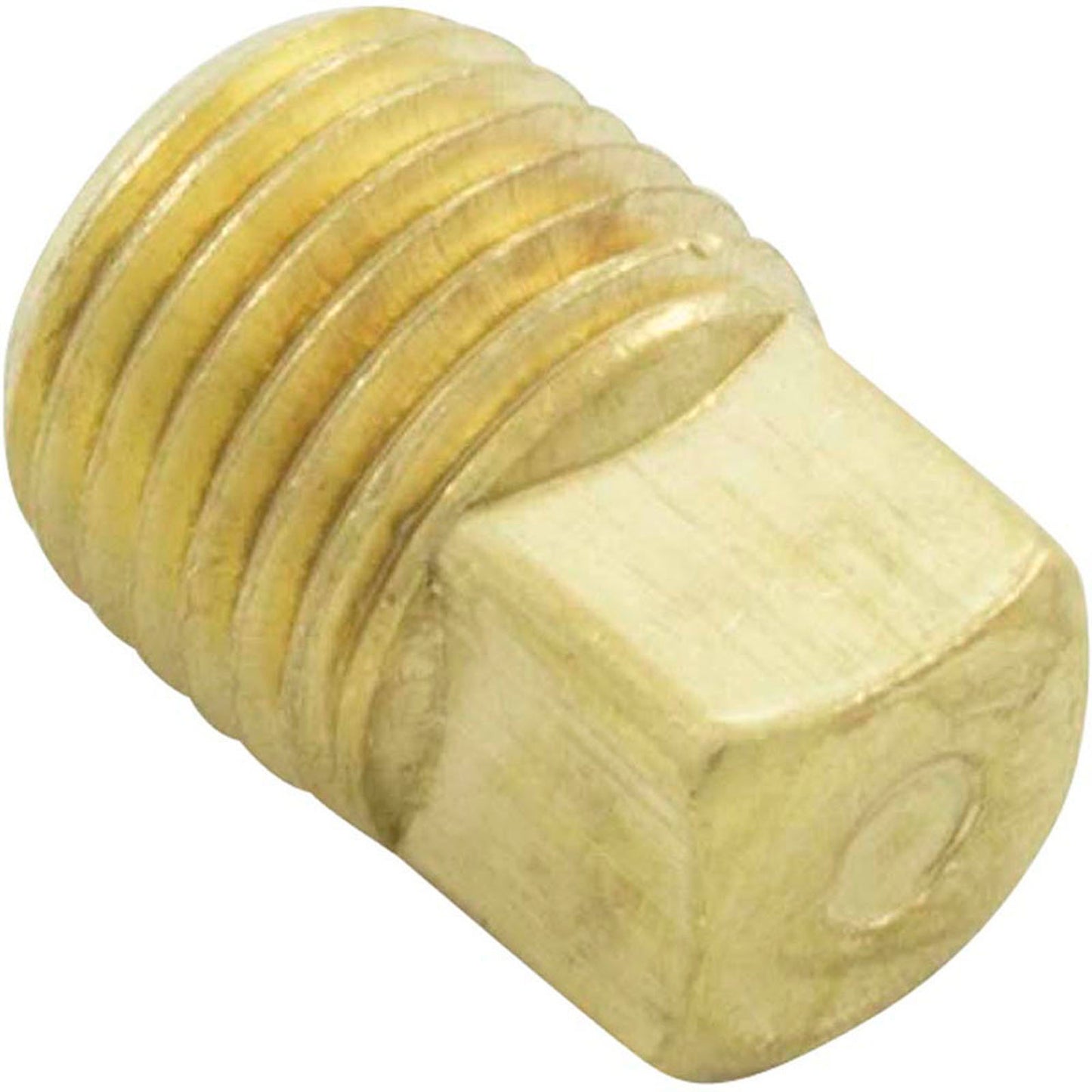 Drain Plug, Pentair C-Series, 1/4"