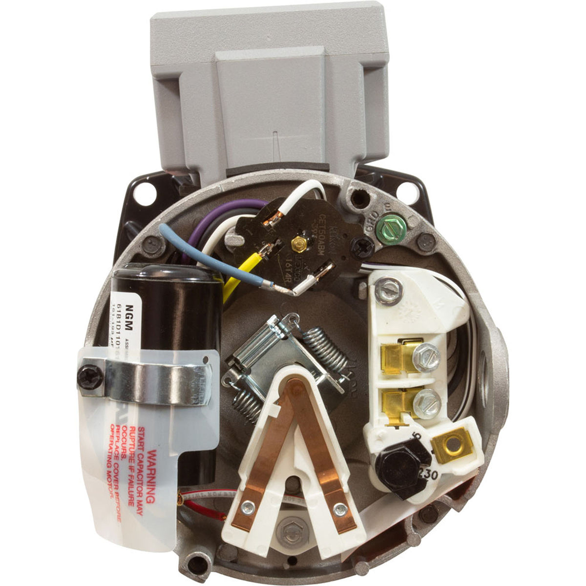 Motor, Century, 1.5hp, 115/230v, 1-Spd, 48Y Frame, SQFL