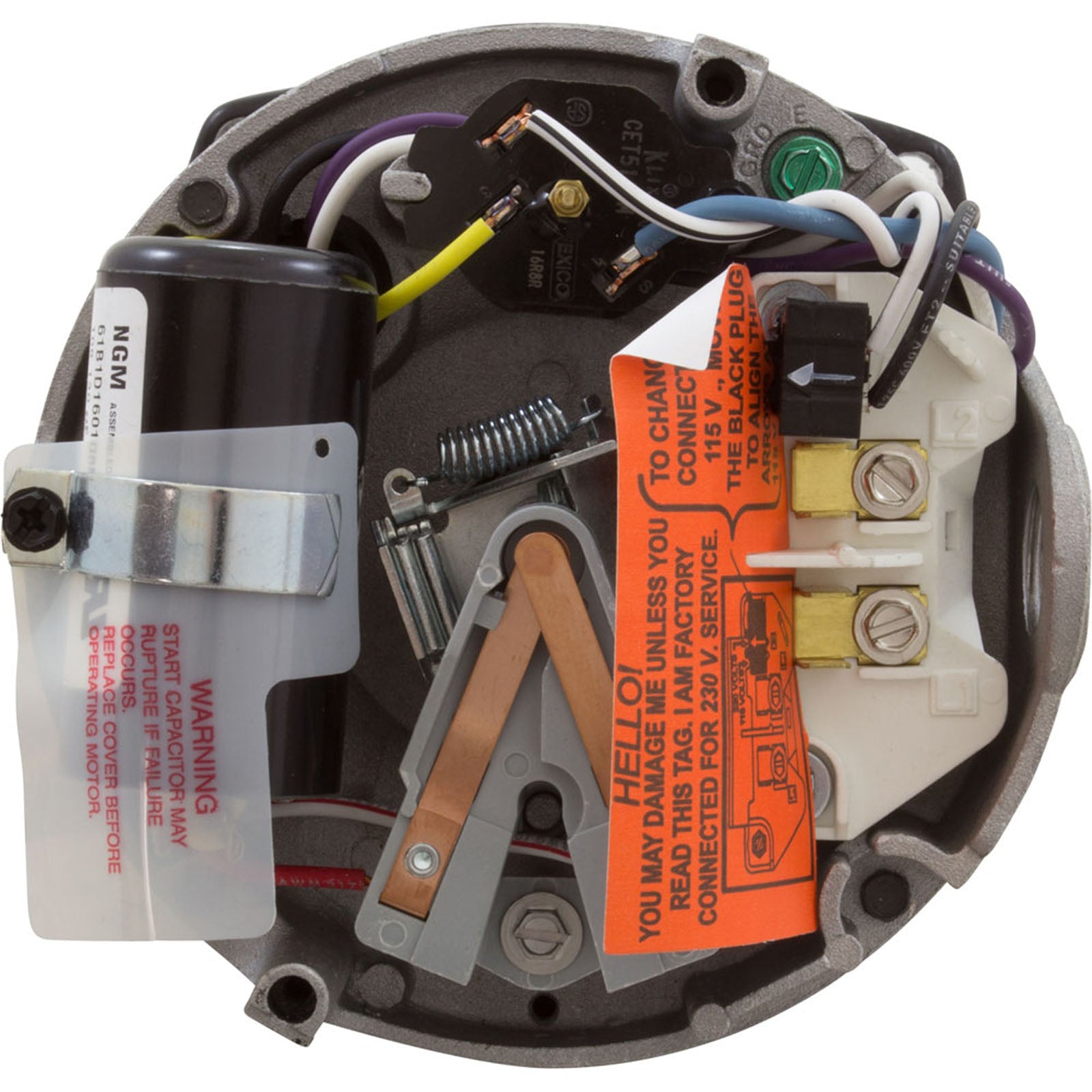 Motor, Hayward MaxFlo II/XL, 1.0hp, 115v/208-230v, Max Rate