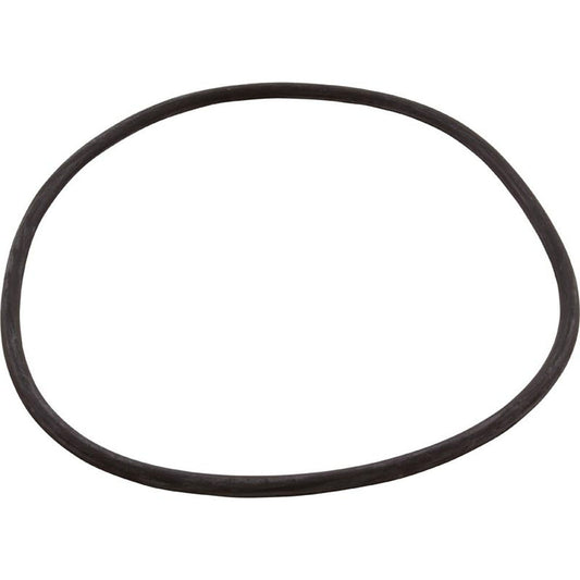 Joint torique, Hayward Northstar, corps du piège