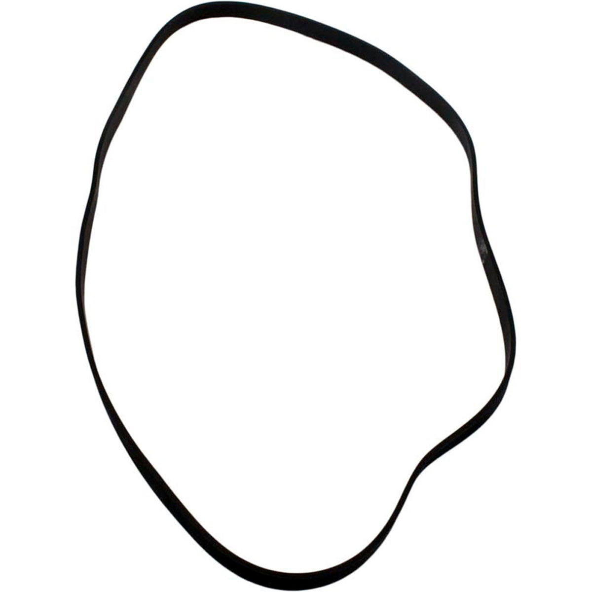 Gasket, Hayward Viper, Volute, 7-1/4"ID, 7-3/8"OD, After 2004