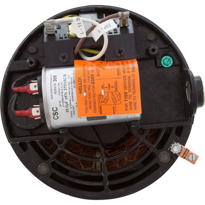 Motor, Hayward NorthStar SP4000, 1.5hp, 1-Spd, Full Rated, EE