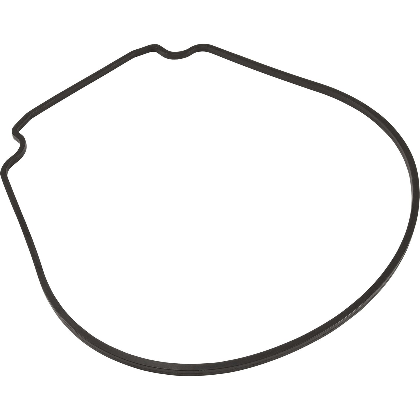 Joint, Zodiac Jandy JHP/JHPU, plaque d'étanchéité, spécial