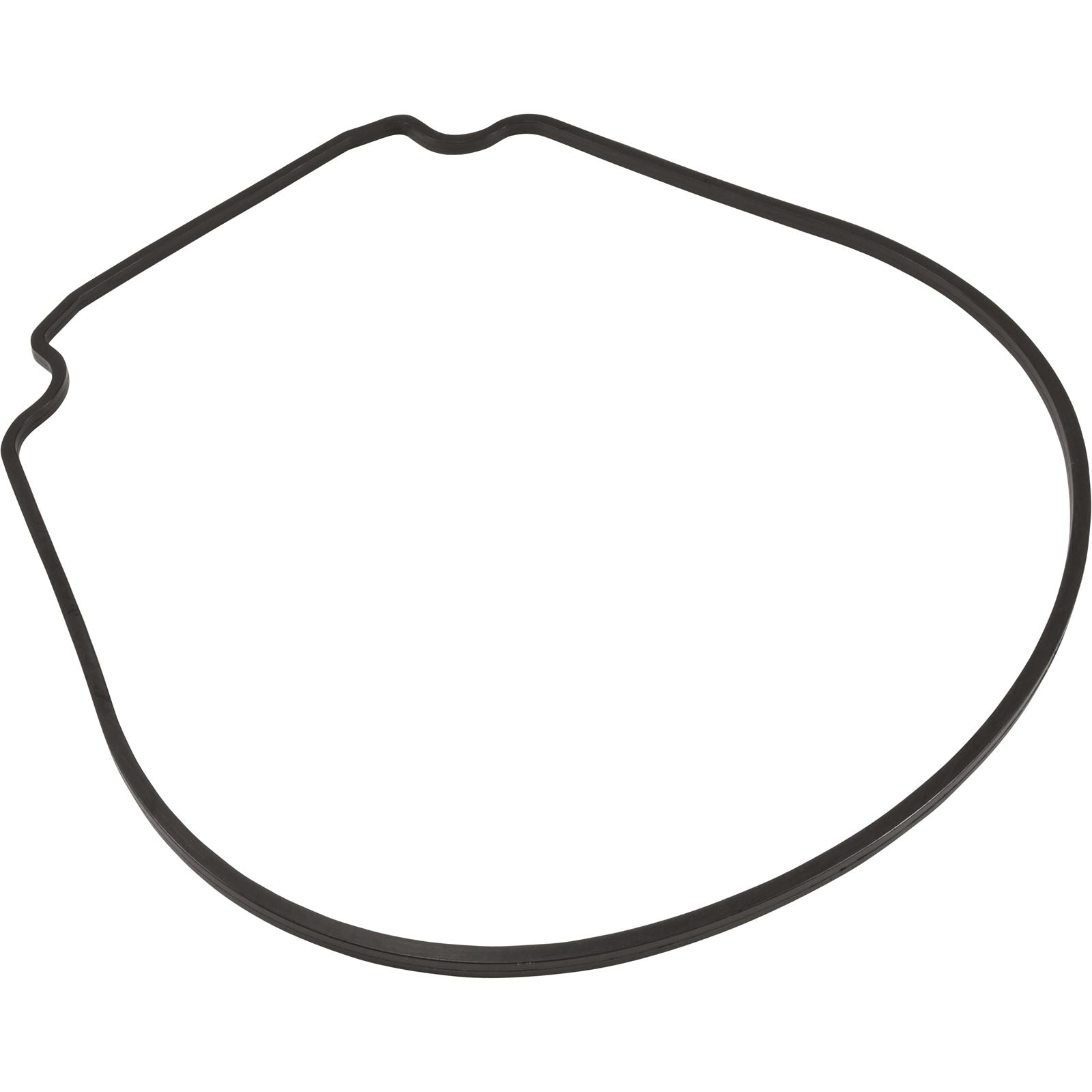 Gasket, Zodiac Jandy JHP/JHPU, Seal Plate, Special