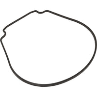 Gasket, Zodiac Jandy JHP/JHPU, Seal Plate, Special