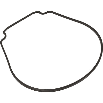 Joint, Zodiac Jandy JHP/JHPU, plaque d'étanchéité, spécial