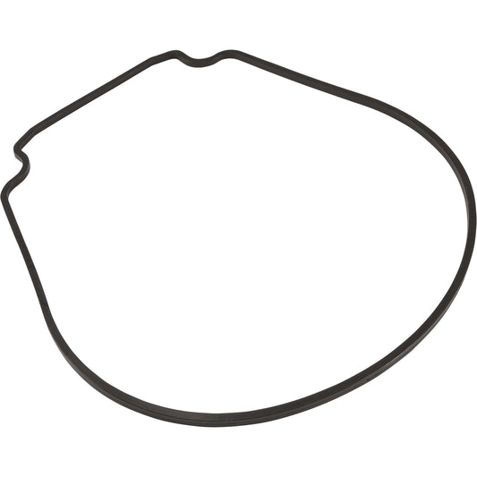 Gasket, Zodiac Jandy JHP/JHPU, Seal Plate, Special