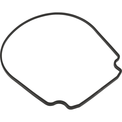 Joint, Zodiac Jandy JHP/JHPU, plaque d'étanchéité, spécial