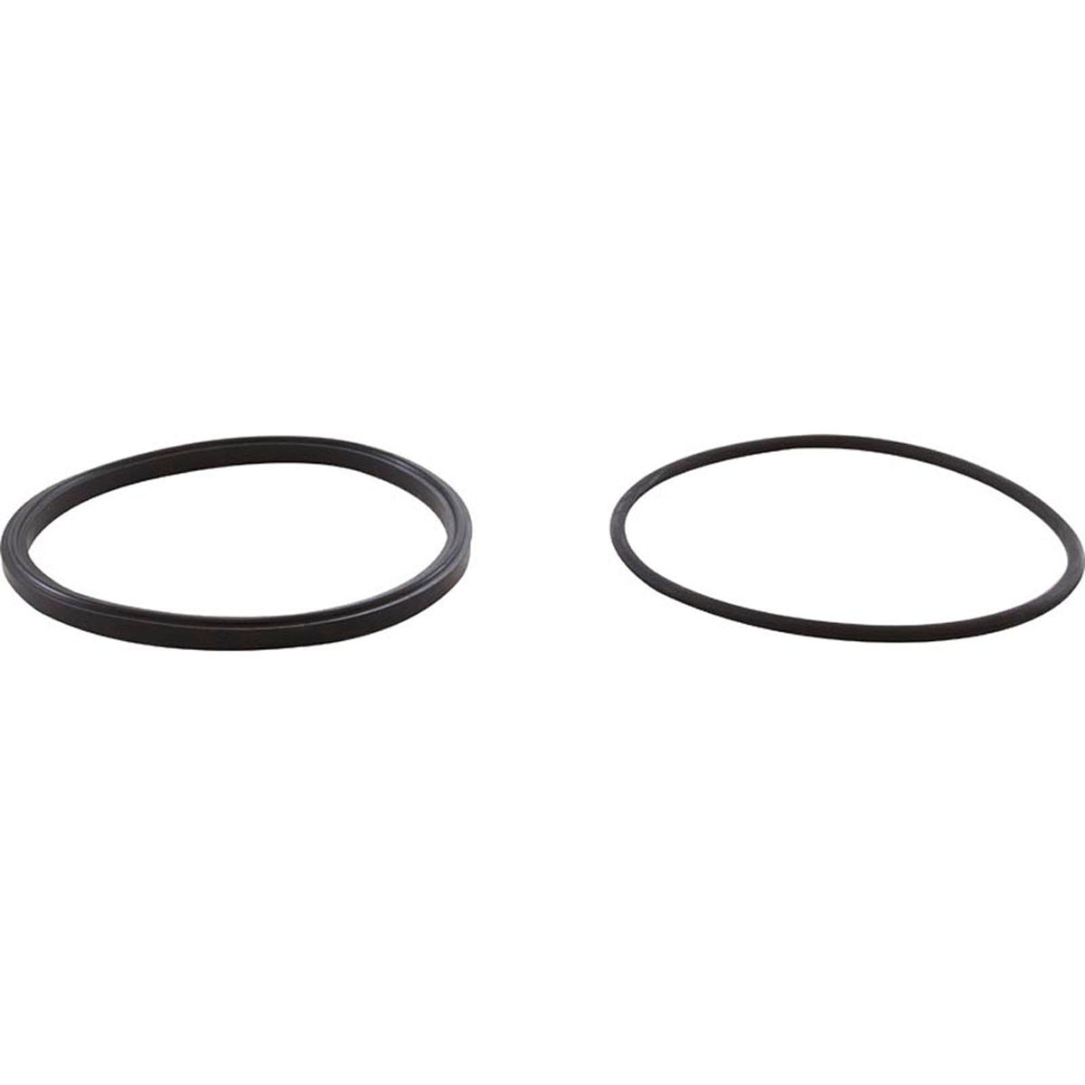 Trap Lid Seal, Zodiac Jandy PHPF, with O-Ring
