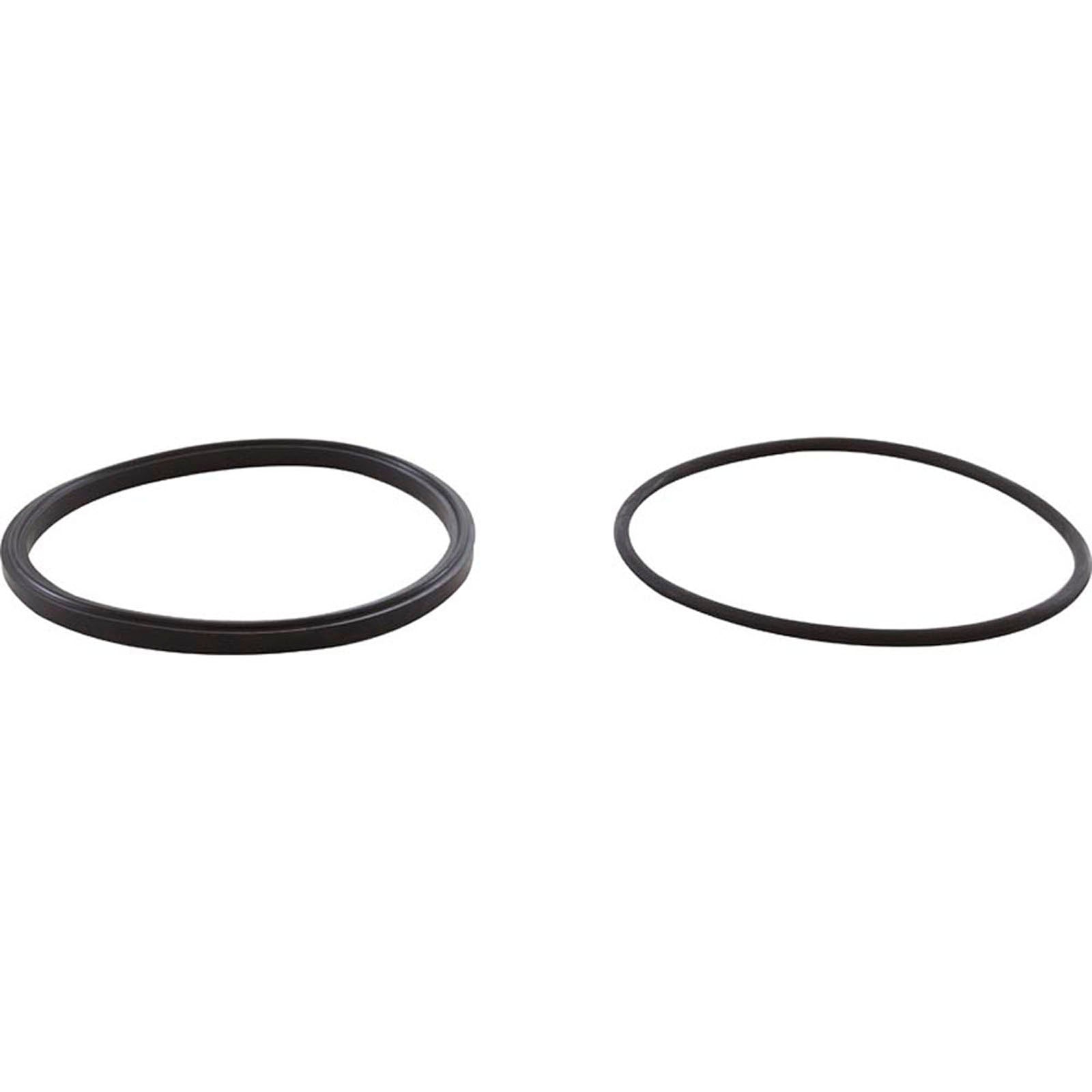 Trap Lid Seal, Zodiac Jandy PHPF, with O-Ring