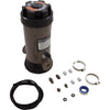 Brominator, Off-Line, Hayward CL220BR