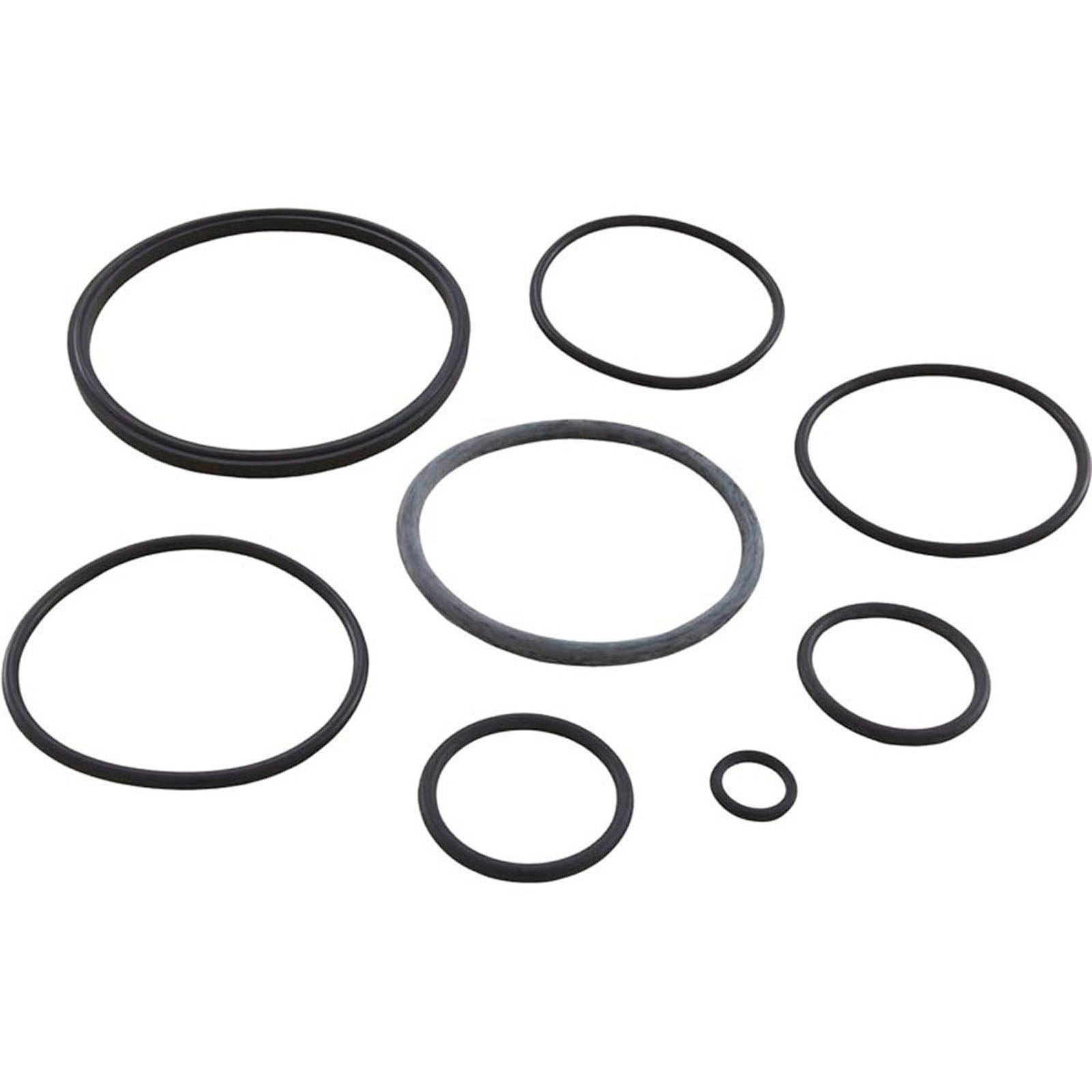 O-Ring Kit, Zodiac Nature2 Fusion