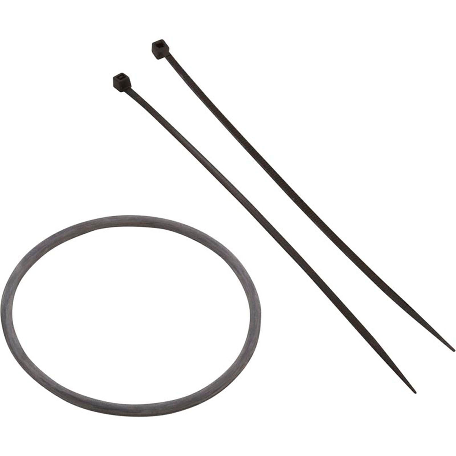 Port Sensor, Zodiac Nature2 Fusion, 16 foot, with O-Ring