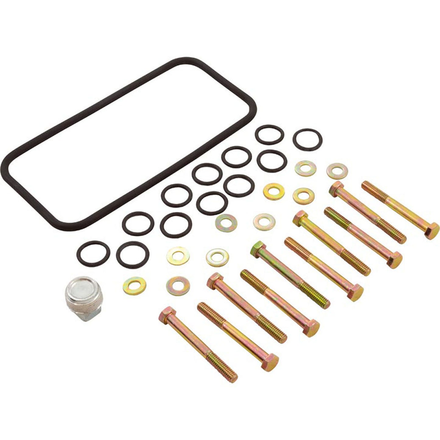 Basic Manifold Kit, Pentair MasterTemp