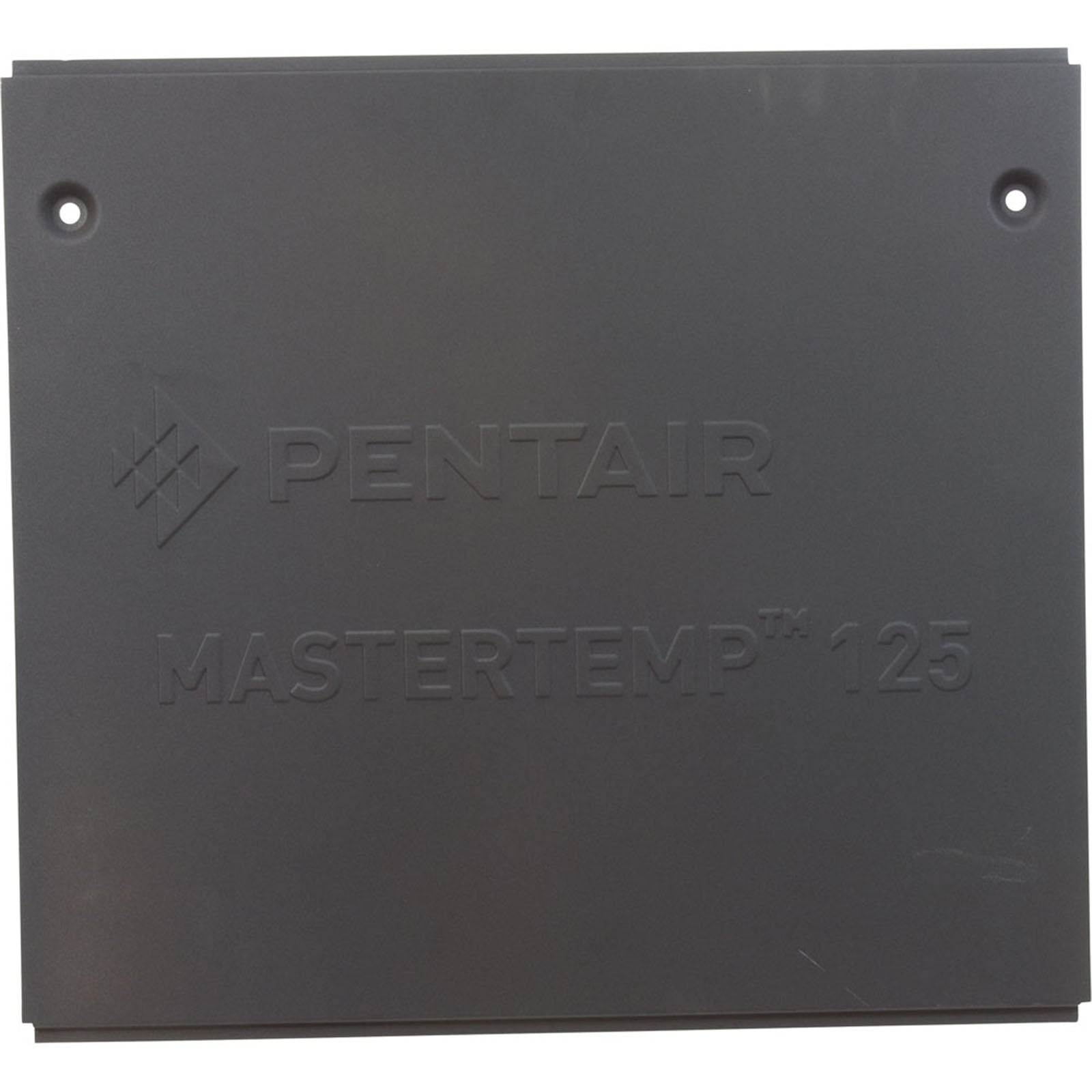 Side Panel, Pentair MasterTemp 125, Service Panel