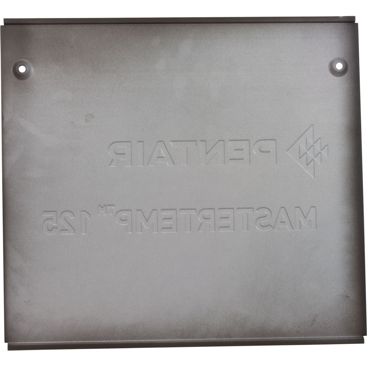 Side Panel, Pentair MasterTemp 125, Service Panel