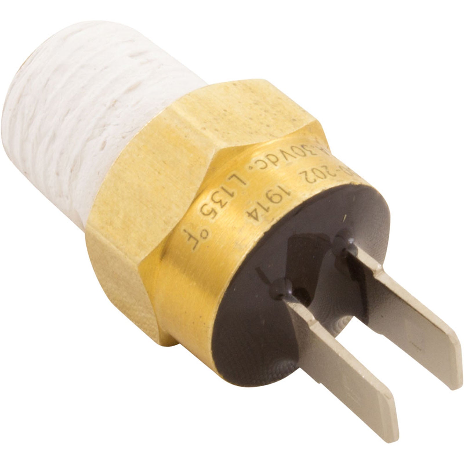 Hi Limit Switch, Pentair MasterTemp 125