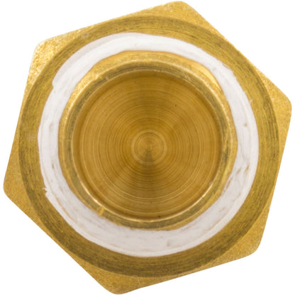 Hi Limit Switch, Pentair MasterTemp 125