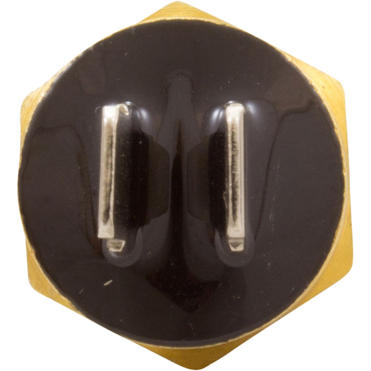 Hi Limit Switch, Pentair MasterTemp 125