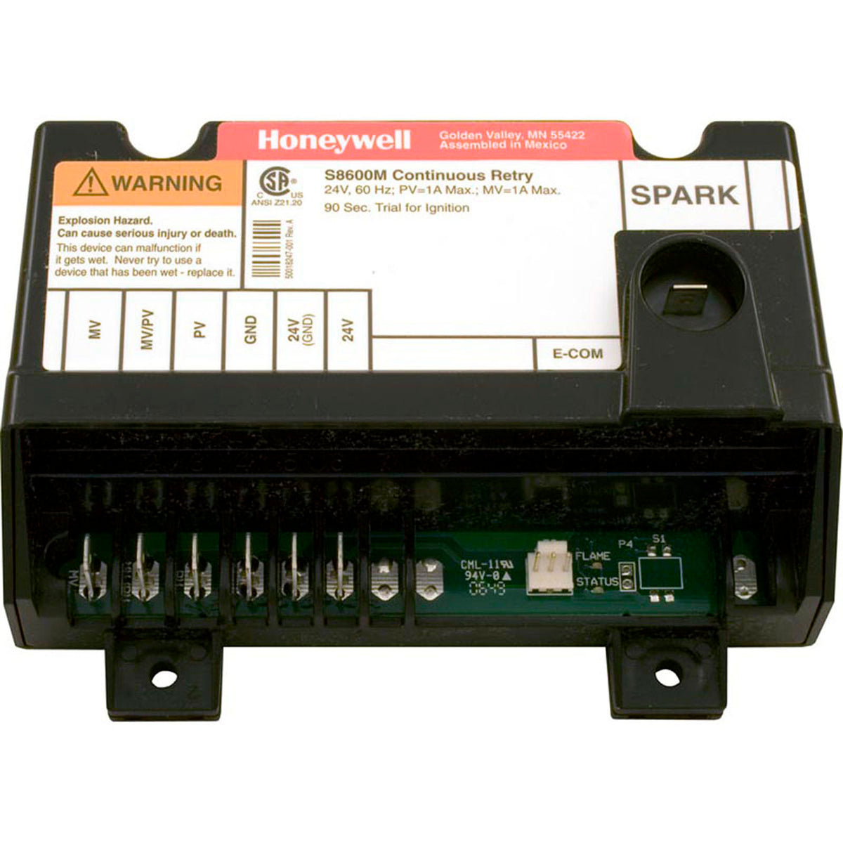 Module, Pentair Minimax/Minimax Plus/PowerMax/TI, Nat.