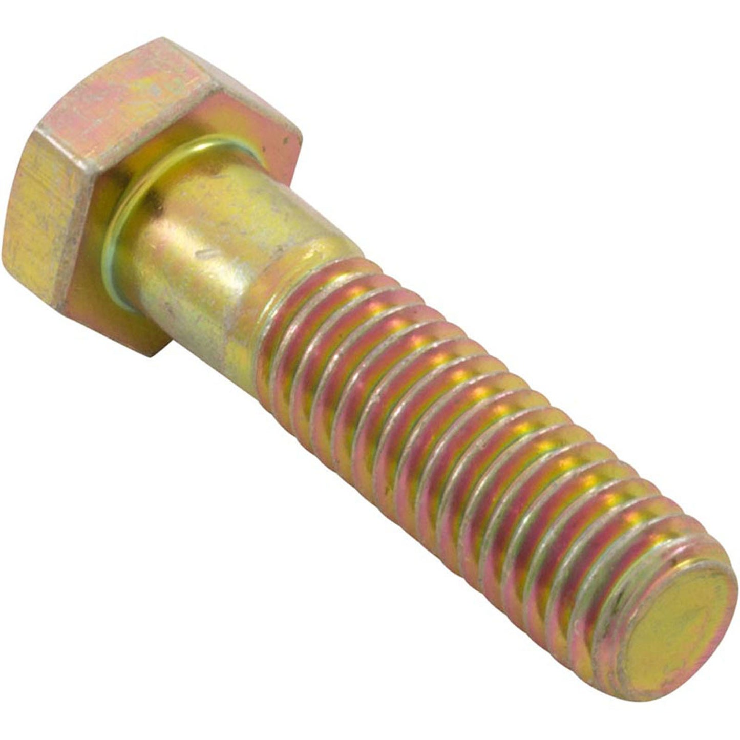 Bolt, Pentair Minimax/Minimax Plus/PowerMax, 3/8"-16 x 1-1/2"