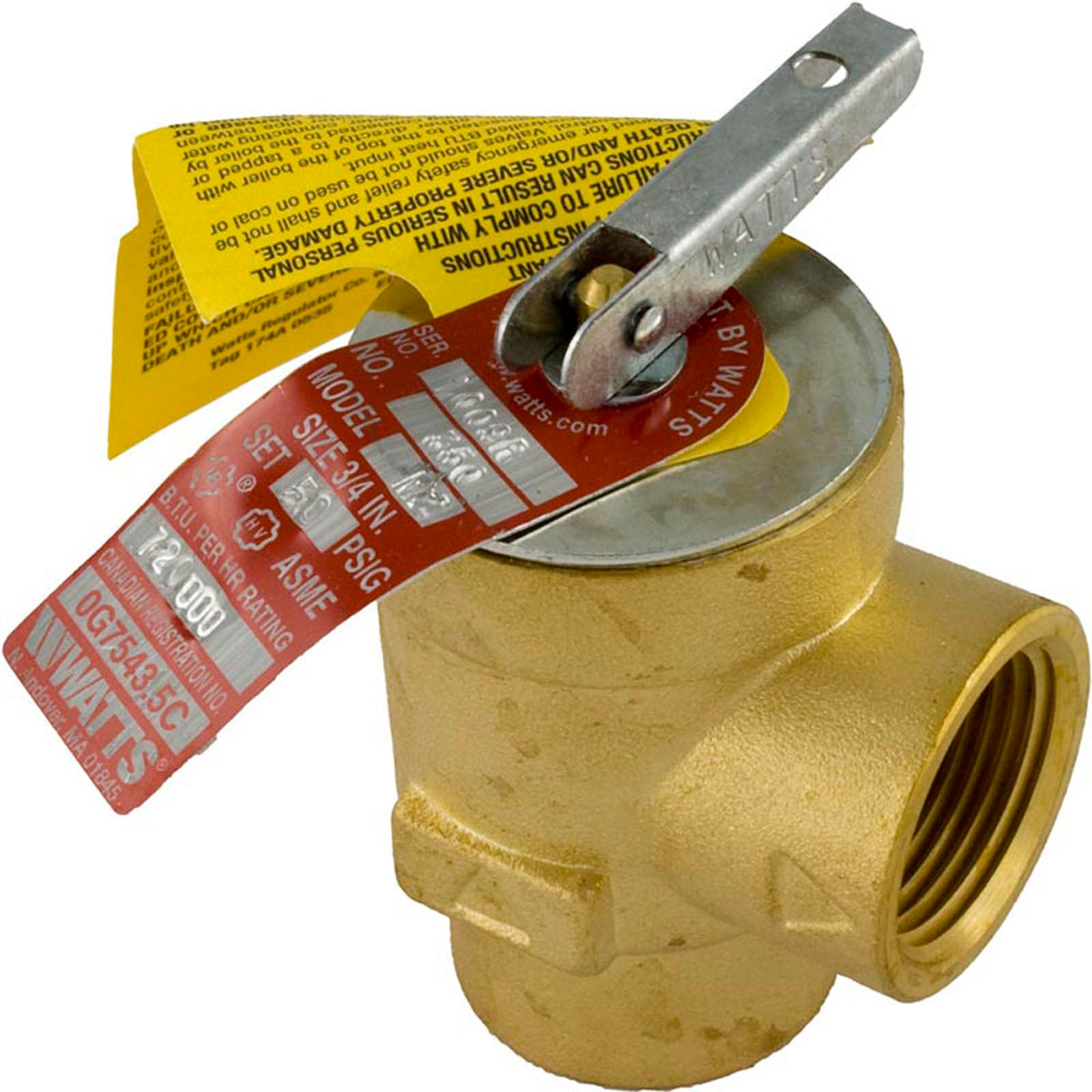 Relief Valve, Pentair Minimax Plus/PowerMax, 3/4"