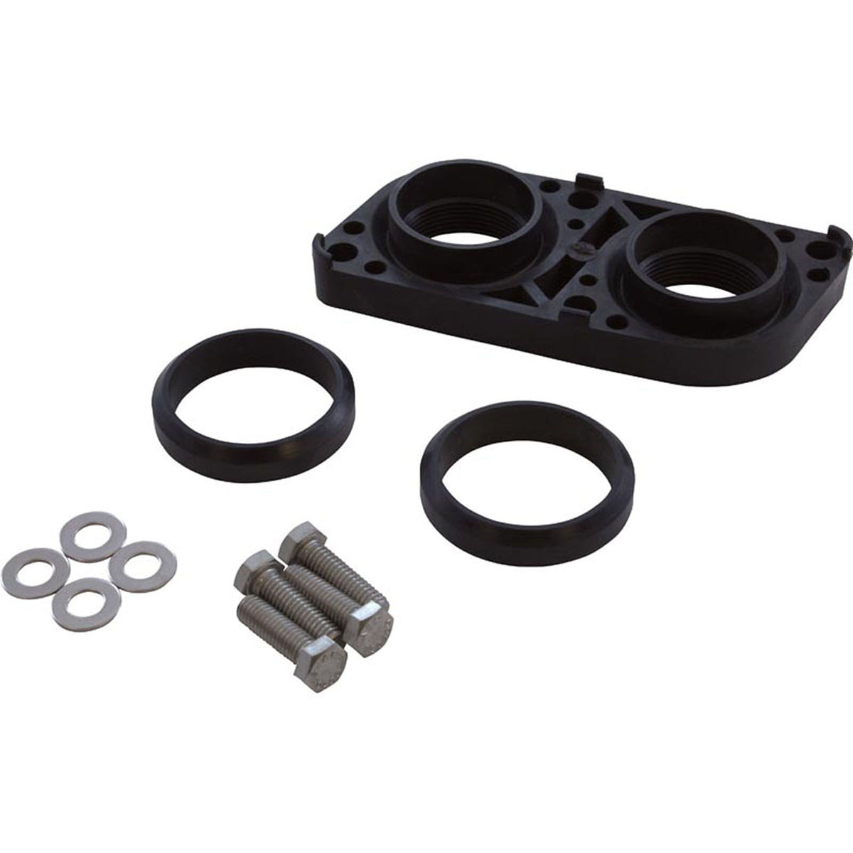 Flange Kit, Pentair Minimax 100, 1-1/2"