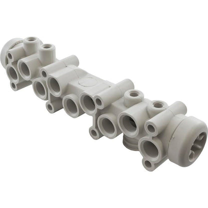 Main Manifold Assembly, Pentair Minimax CH