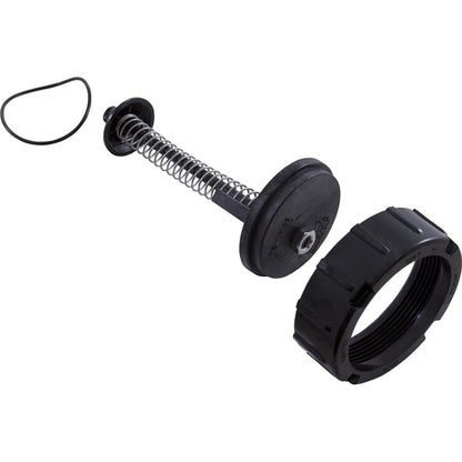 Bypass Assembly, Zodiac Jandy LRZE/LRZM/LXi, with O-Ring