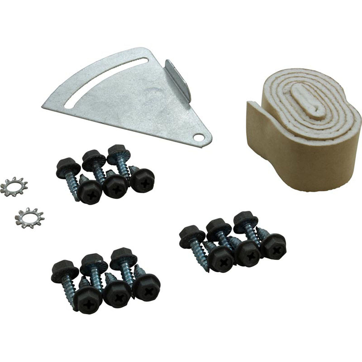 Blower, Zodiac Jandy LXi, with Gasket