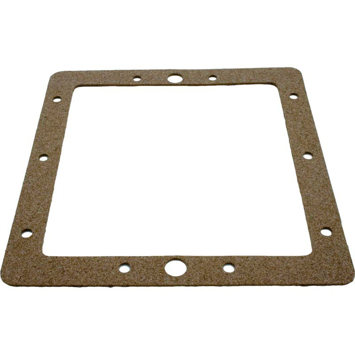 Gasket, Pentair American Products FAS Skimmer, Faceplate, Back