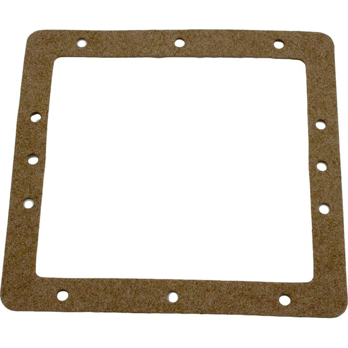 Gasket, Pentair American Products FAS Skimmer, Faceplate, Front