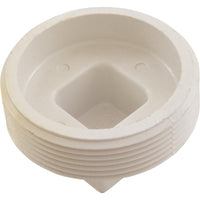 Plug, Hayward SP1082/1083/1084/1085/1086 Skimmer, 2"