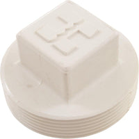 Plug, Hayward SP1082/1083/1084/1085/1086 Skimmer, 2"