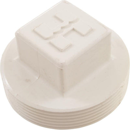 Bouchon, écumoire Hayward SP1082/1083/1084/1085/1086, 2"