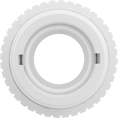 Accesorio de entrada, Pentair, 1-1/2"mpt, orificio de 1", color blanco