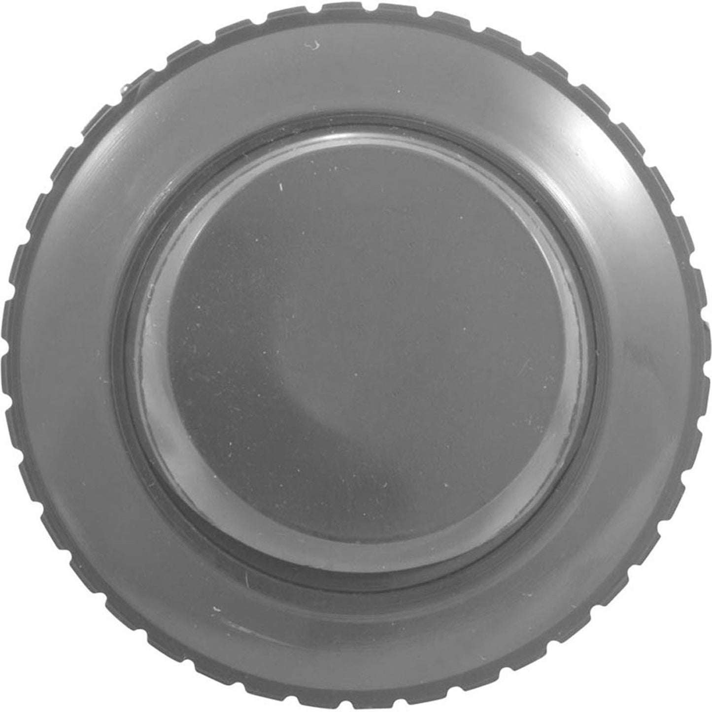 Inlet Fitting, Pentair, 1-1/2"mpt, Slotted Orifice, Dk Gray